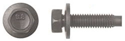 5-.80  Dog Point Bolt