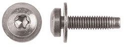 6-1.00 Metric Torx Bolt