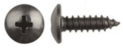 Black Finish Phillips Trim Screws