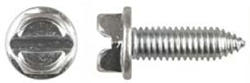 20mm License Plate Screw