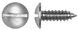 License Plate Screws