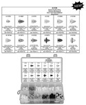 Import Door Trim Panel Assortment