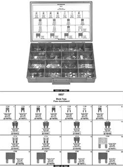 Auto Fuse Assortment