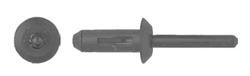 1/4"-6.3mm Nylon Blind Rivet