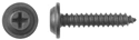 1" Black Trim Screw