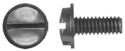 Slotted Black Nylon Screw